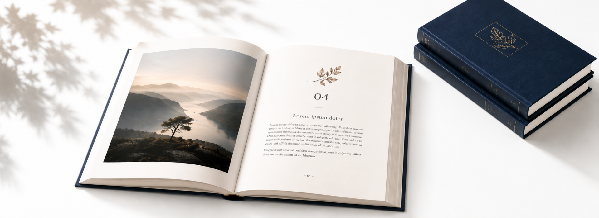 Дизайн книг 
