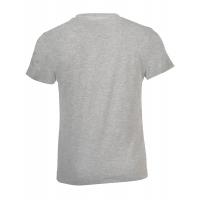 Футболка детская REGENT FIT KIDS, серый меланж